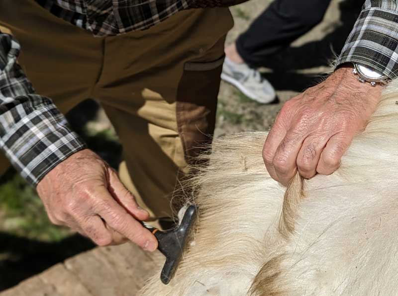 San Leo Cashmere Pettinatura